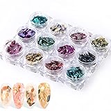 Cortes de conchas para uñas, 12 cajas, coloridas, irregulares, 3D, para decoración de uñas